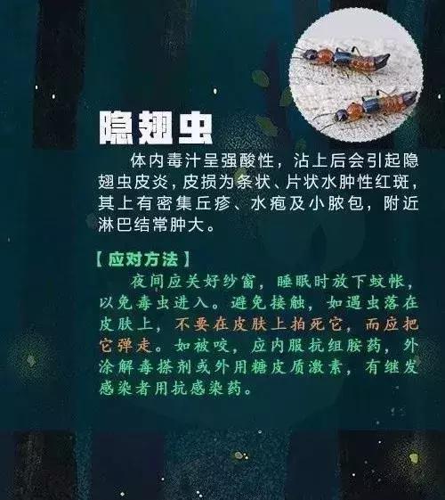 一家三口被刺身亡案,江苏一家三口被不知名虫子叮咬