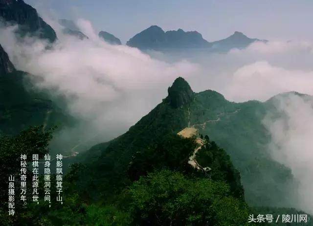 热吗来杯春茶解渴,热吗来杯热茶