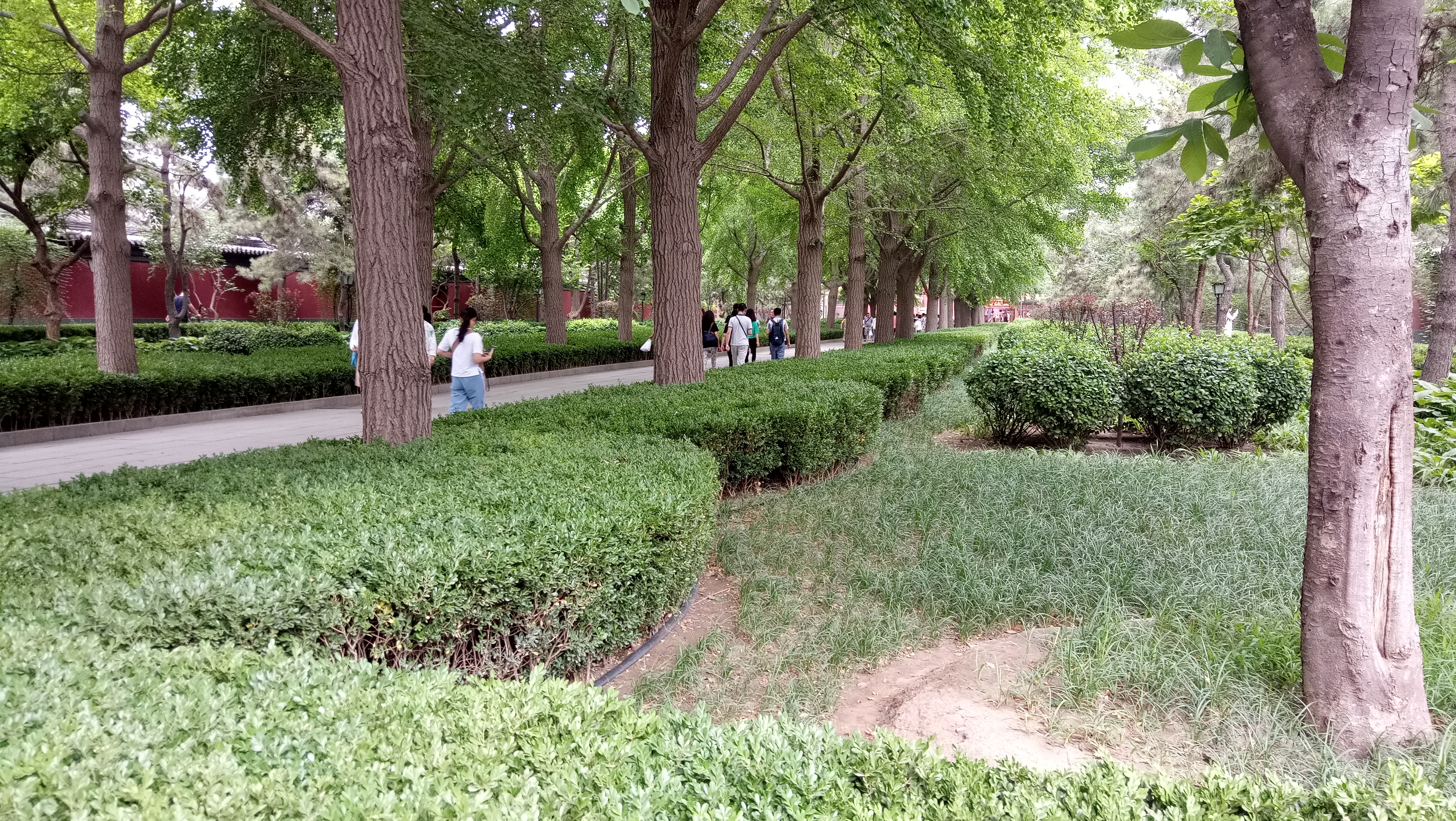 雍和宫和故宫游玩顺序,北京故宫和雍和宫哪个更值得去