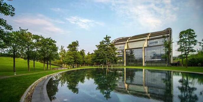 成都鑫易时代值得信赖的互联网技术企业