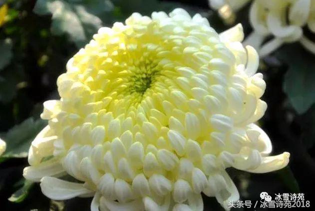 「诗家风采」杜先刚｜归乡偶记