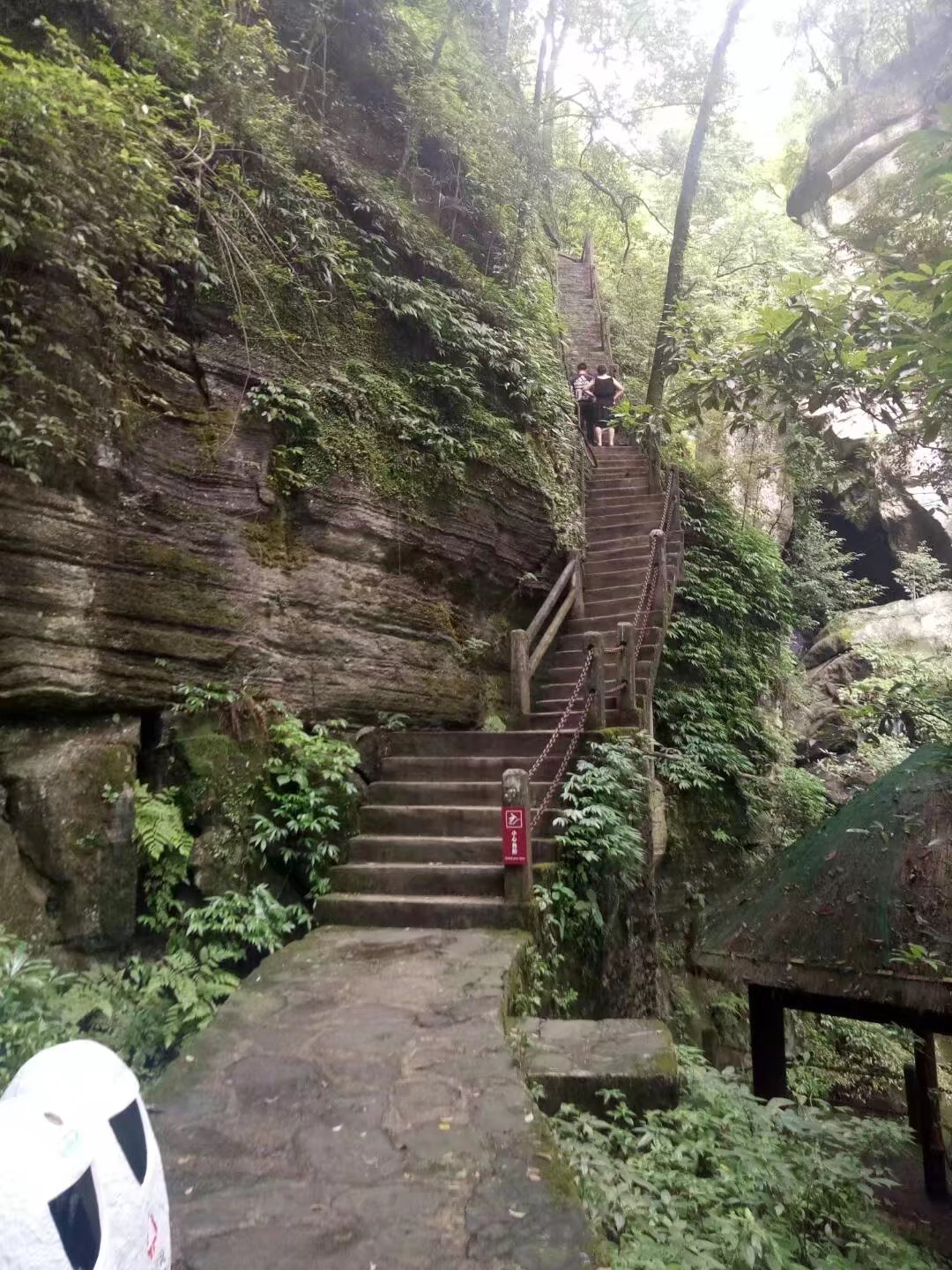佛山刺激的游乐项目一日游,佛山一日游最刺激的地方