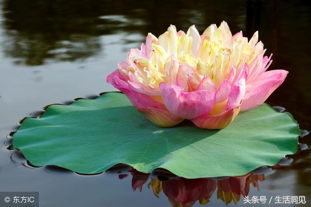 人到中年才明白什么人值得交往,适合中年人的相处境界