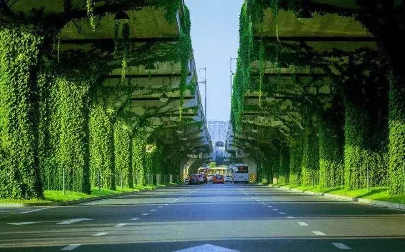 成都市区绿野仙踪,绿野仙踪成都二环