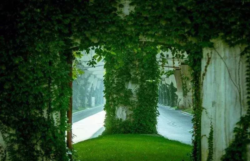 成都市区绿野仙踪,绿野仙踪成都二环