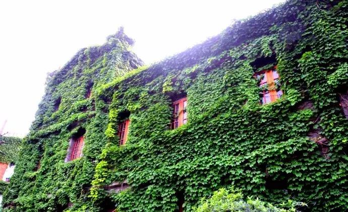 成都市区绿野仙踪,绿野仙踪成都二环