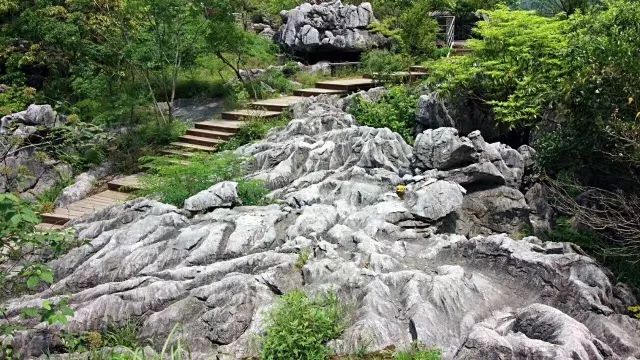 常山县三衢中学详细地址,常山县正在建的高中