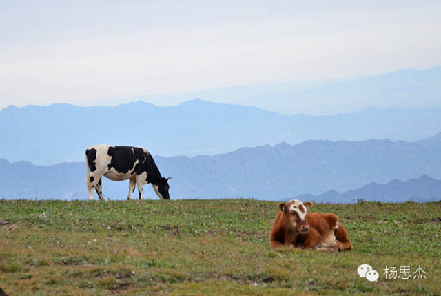 音乐收藏推荐,最适合旅行听的20首歌