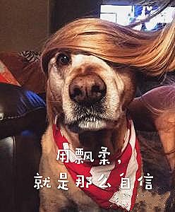 日本no1防晒霜,日本药妆店导购不会告诉你的秘密