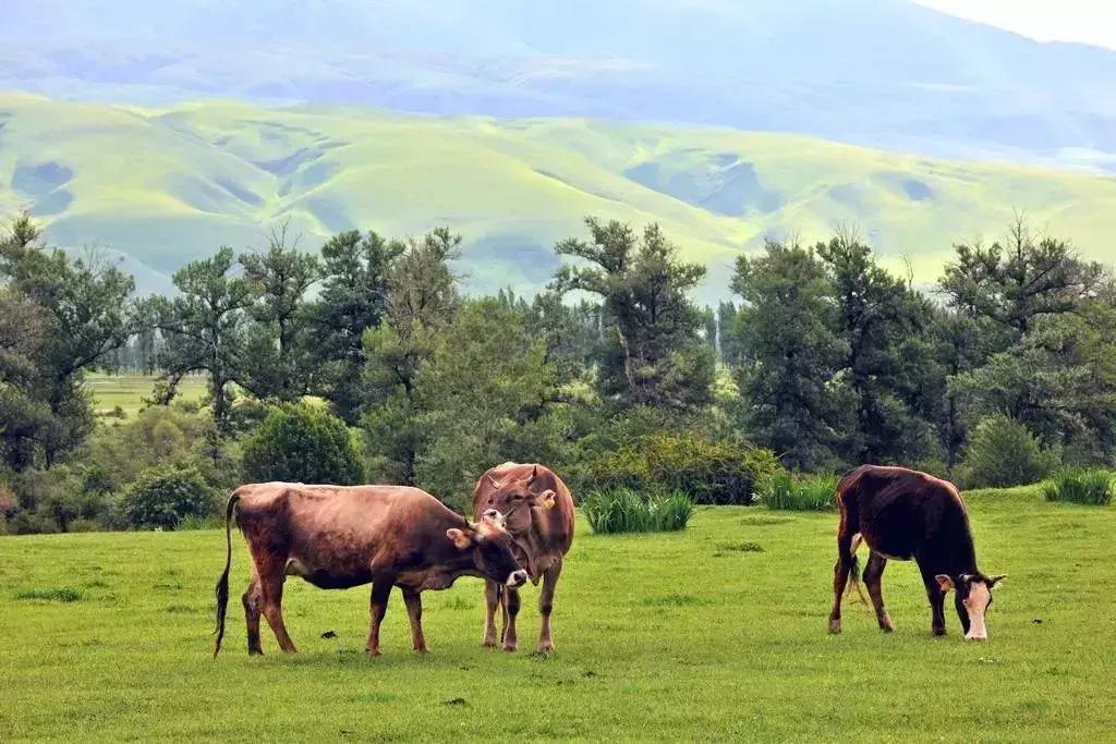 从天津出发的旅游专线 (天津出发12小时到达)