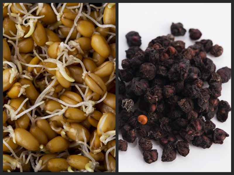 肝炎用一种草泡水转阴,肝炎吃什么降脂药