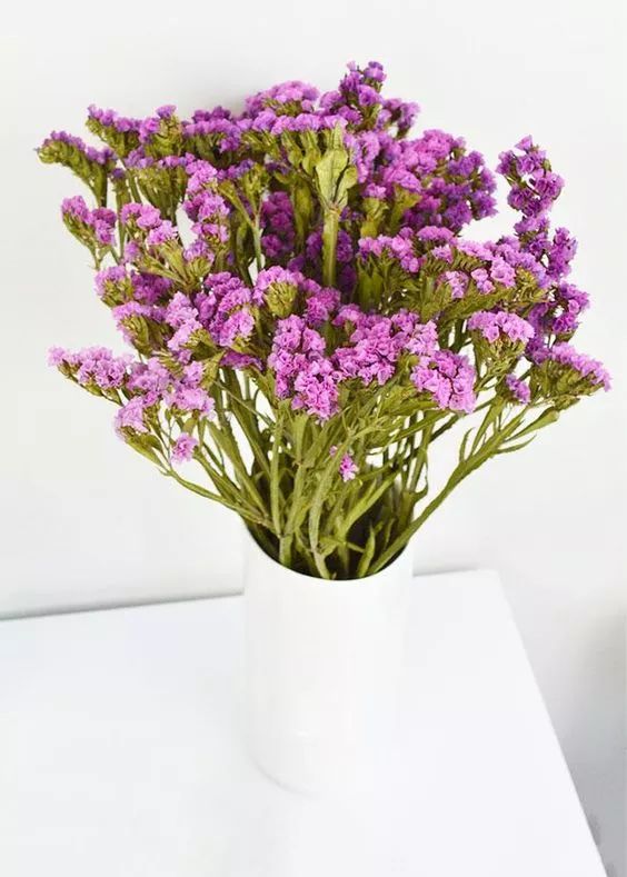 勿忘我花束制作方法超简单,自制勿忘我花束包装教程