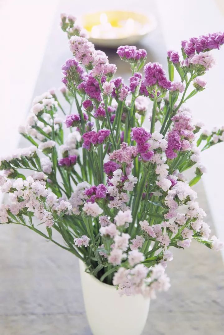 勿忘我花束制作方法超简单,自制勿忘我花束包装教程