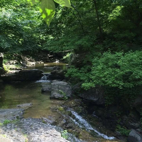 七渡孤山寨简介,孤山寨七渡