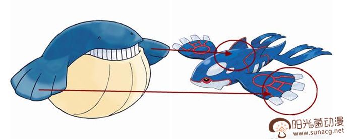 最新宠物小精灵进化过程全图,宠物小精灵中有普通动物吗