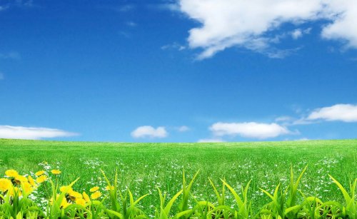 进一步狠抓环保问题解决,不松劲不懈怠的工作