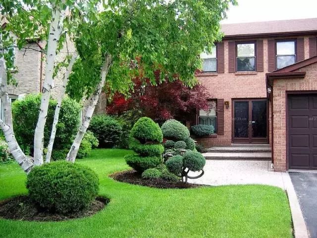 楼顶花园草坪种植方法全过程,花园草坪怎么种植