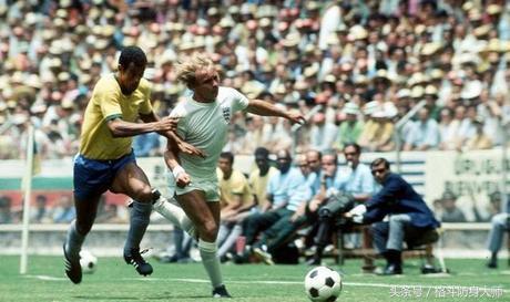 足球最强十一人,荷兰足球最佳十一人