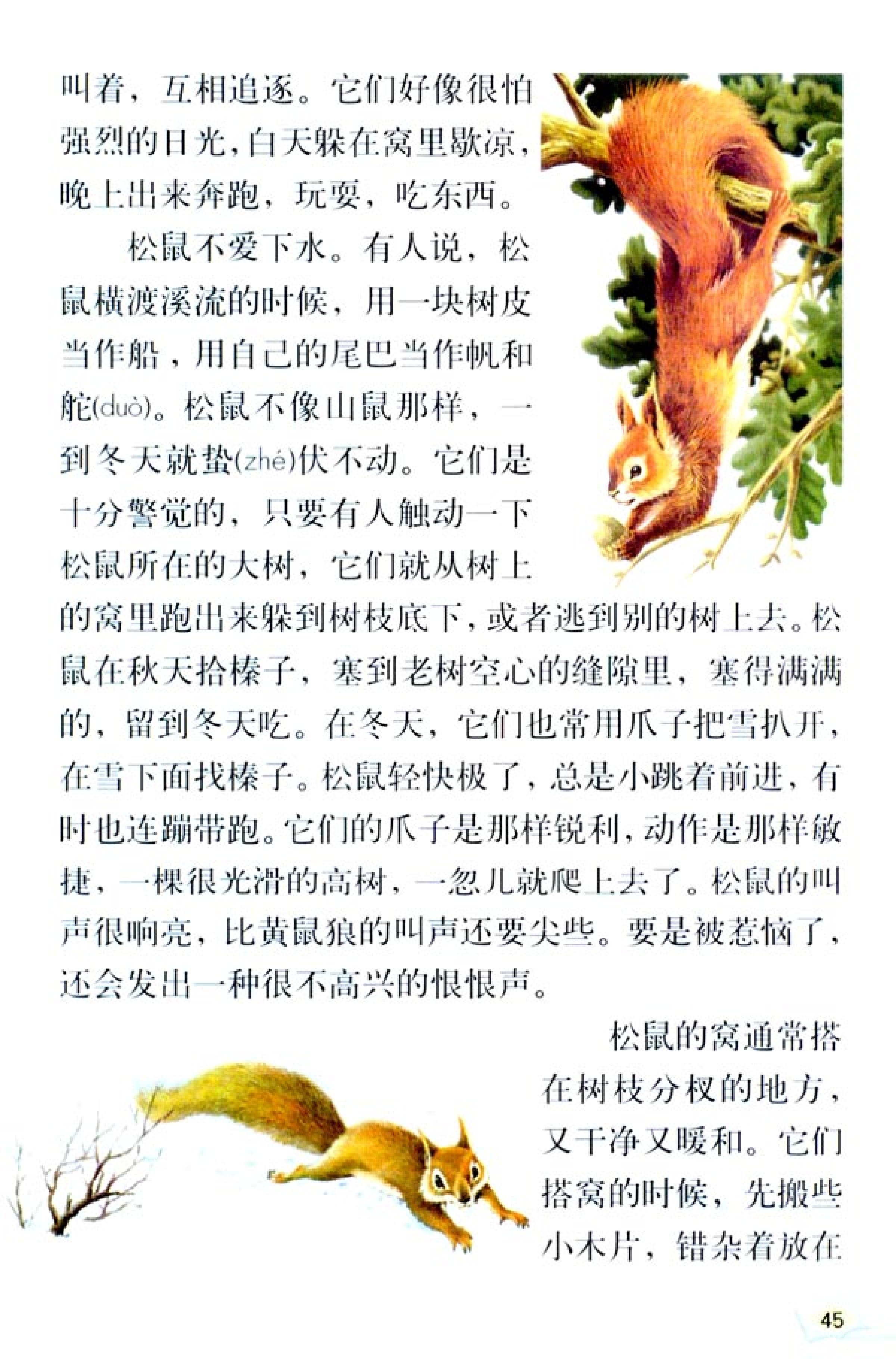 五年级上册语文课本电子版第21课,2021年人教版五年级上册语文课本