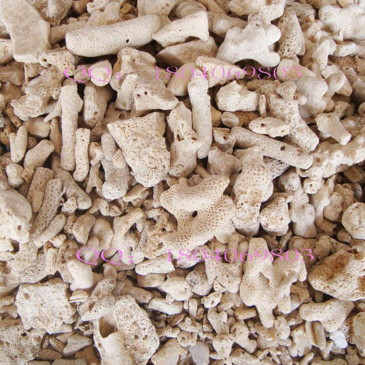 蒸馏水调节鱼缸酸碱度和硬度,鱼缸酸碱度用小苏打怎么调节