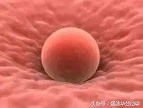 宝宝着床的时候会不会觉得冷,宝宝着床是在宫底吗