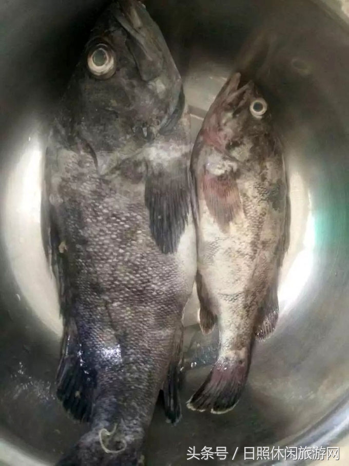 日照房价,日照金山