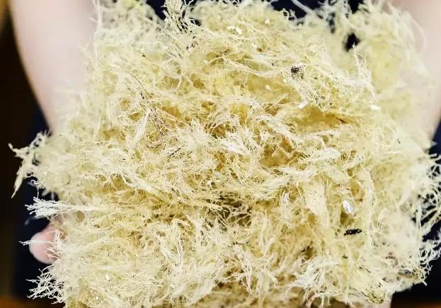 龟苓膏和冰粉哪个适合夏天好吃,龟苓膏黑凉粉和仙草冻的区别