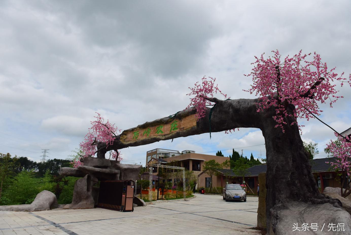 南充顺庆：大林镇产业“梦之队”打好发展“攻势足球”