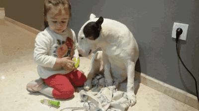 儿童益智类小游戏快来动手试试吧,适合给孩子玩的智力小游戏