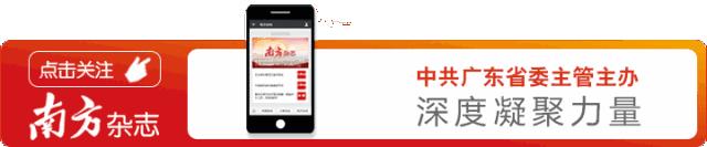 广东警方破获网络赌球大案,警方揭秘赌球骗局