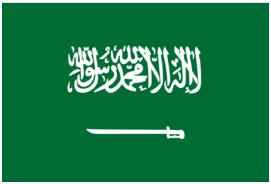 励步分享丨看世界杯，学习国家*旗国**英文名！让你摆脱“伪”球迷~