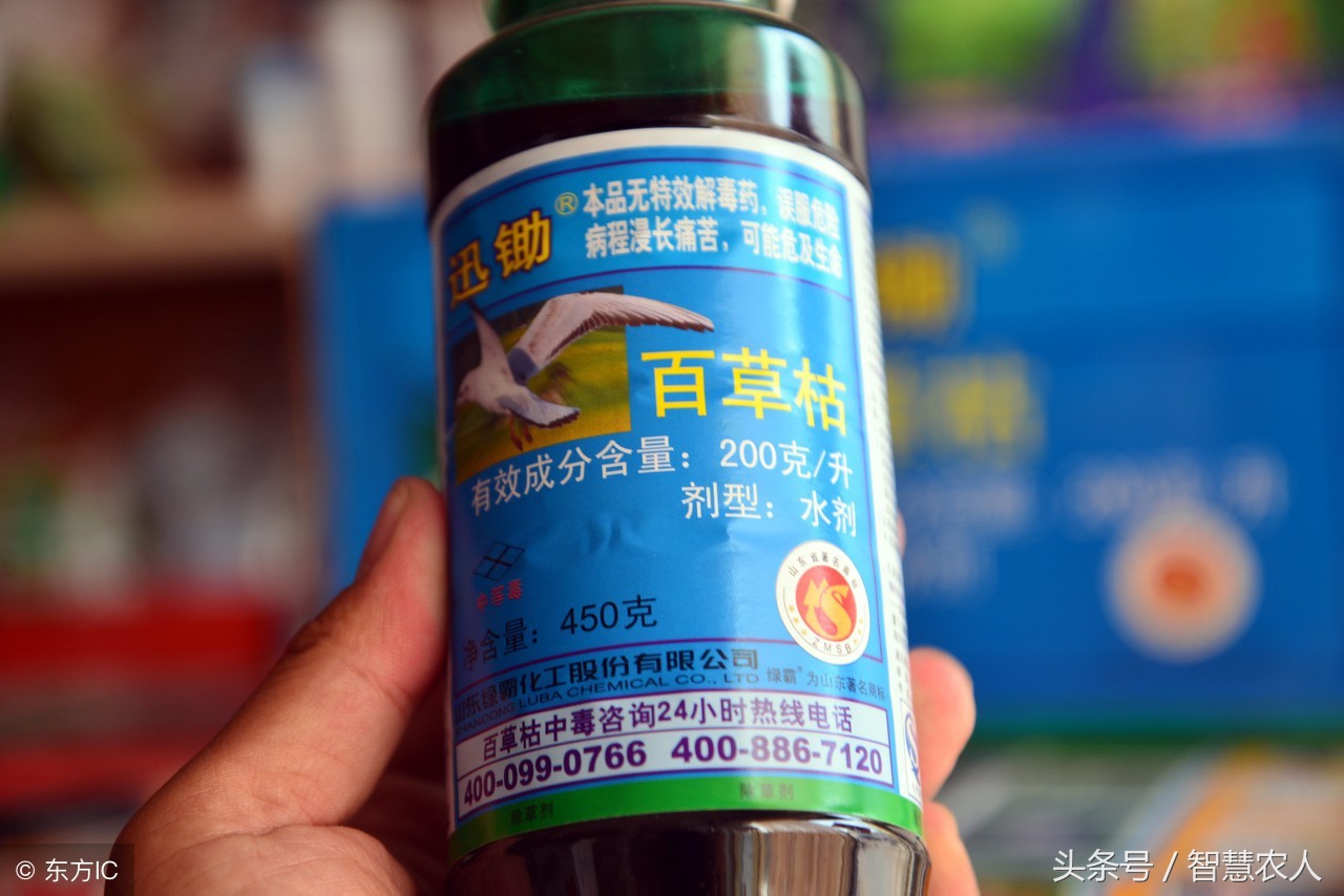 误服百草枯后会出现哪些不适症状,误食百草枯真的无药可救吗