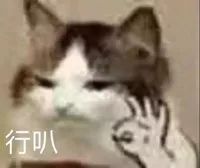 美康粉黛防晒霜防晒黑 (防晒霜推荐军训防晒黑)