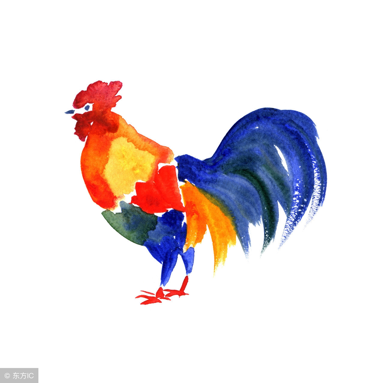 生肖鸡今日必有大喜,生肖鸡未来三天的大事