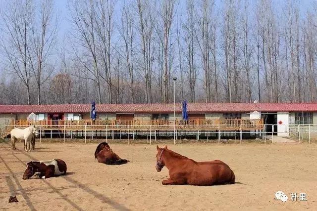 这个韩国欧巴11年前来西安，盖农场当农夫，还娶主播做媳妇儿