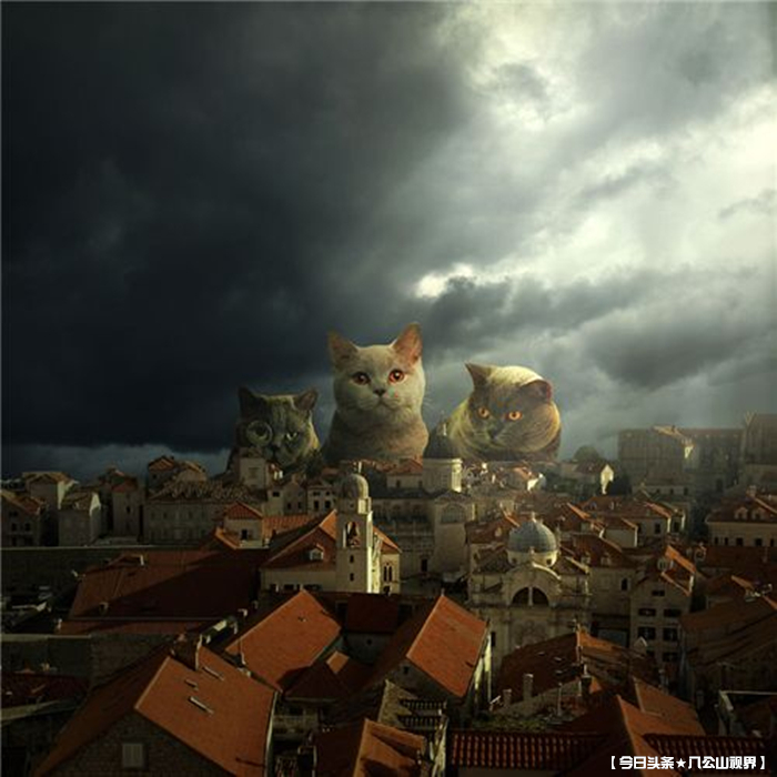 半兽人宠物小说,宠物是藏獒的小说