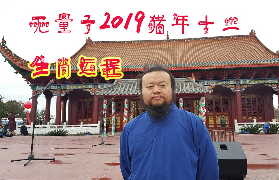 猪年运势2024年十二生肖运势,十二生肖命理猪年运势图