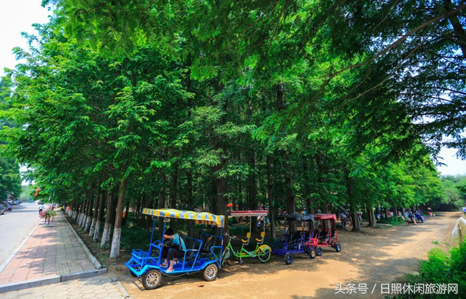 带你一起看美丽的大日照,欣赏大美日照