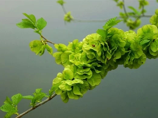 不同年龄段的童年回忆,你们的童年回忆是什么样