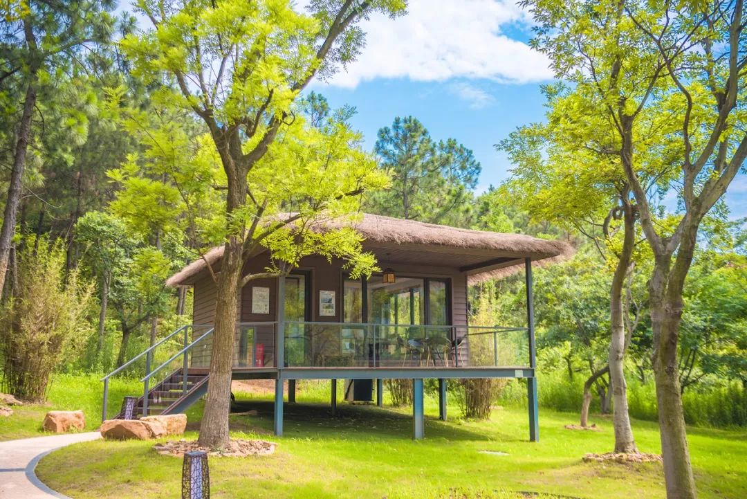 世外桃源在于修心的地方,栖身于江南美景