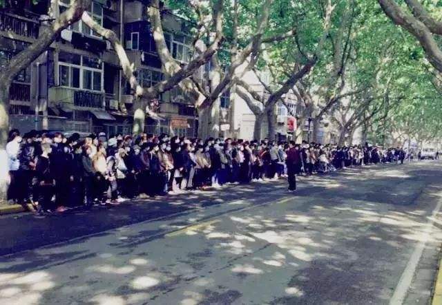 我不是药神女主不接票房十亿,药神票房