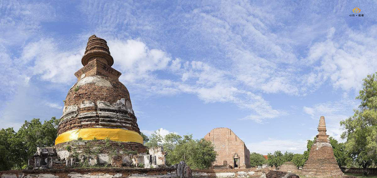 我不是药神女主不接票房十亿,药神票房