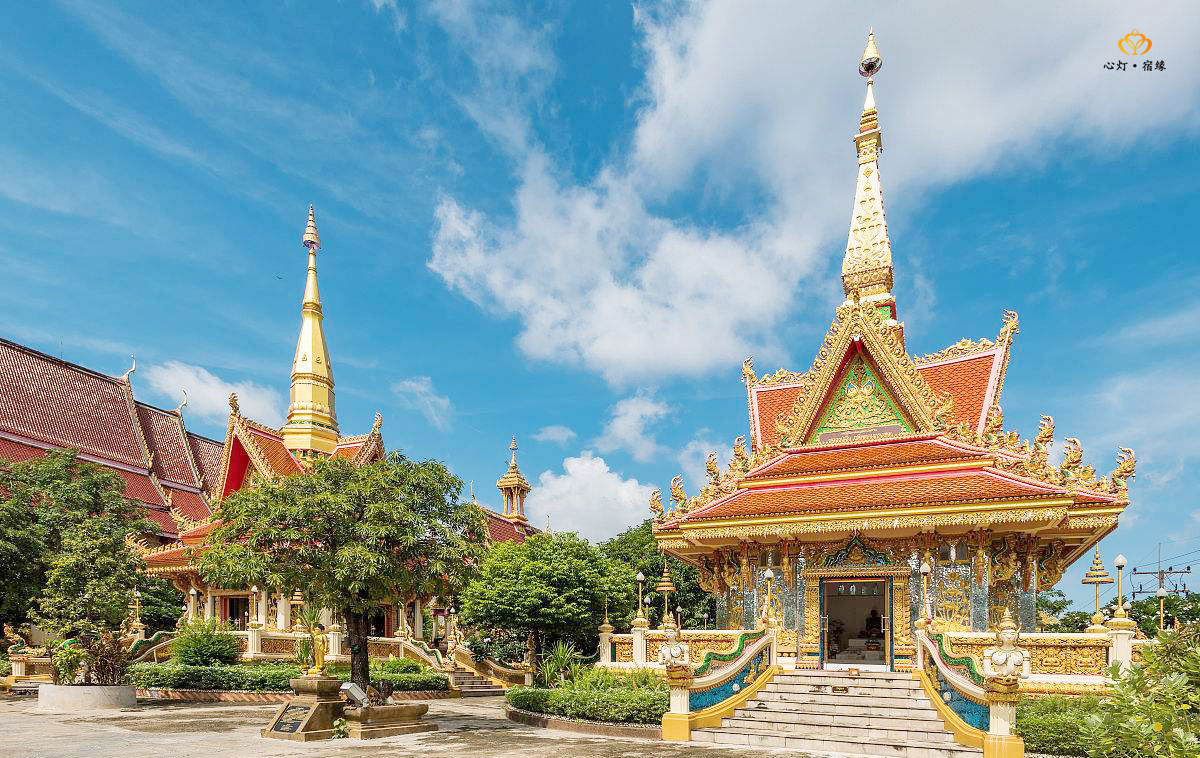 我不是药神女主不接票房十亿,药神票房