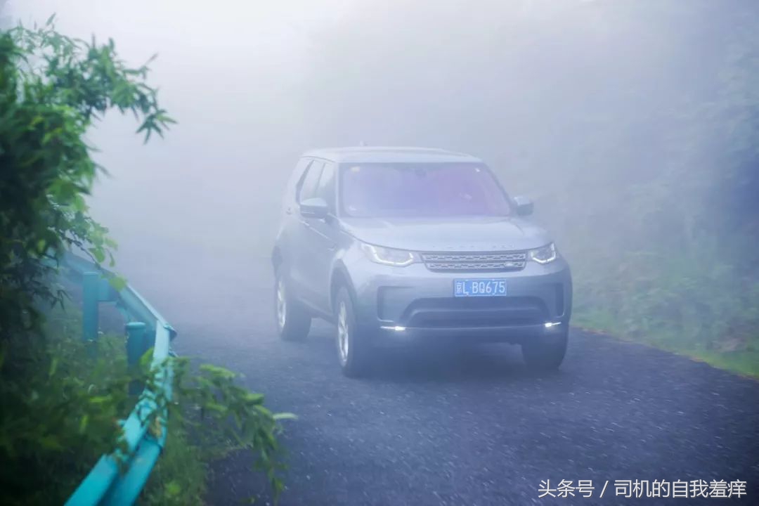 如果你想体验征服感，那养一头猛虎应该是不错的选择