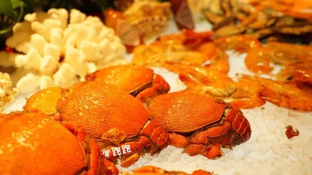 将酒店建在五里河体育场旧址这个希尔顿酒店可不止是个足球迷