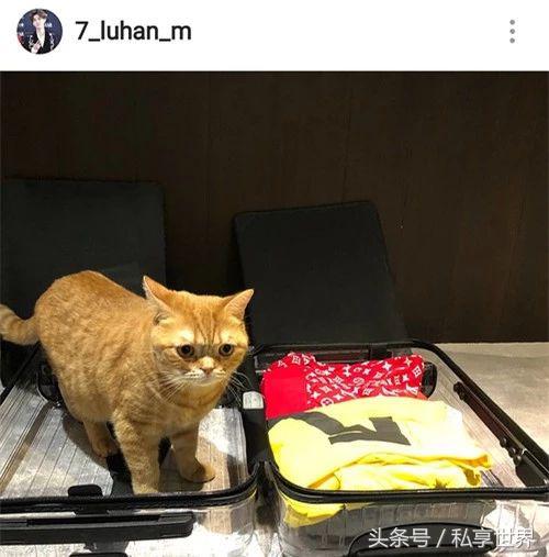 旅游行李箱的必备清单,夏季旅行带哪些行李比较好