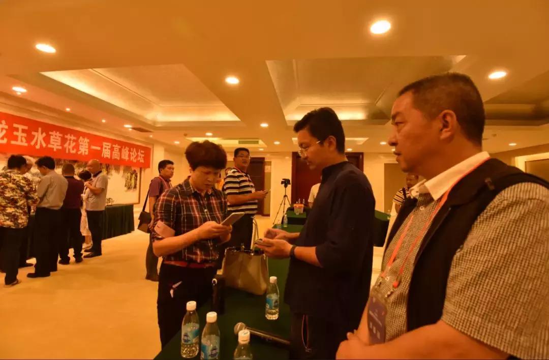 黄龙玉水草花亮点,顶级黄龙玉水草花