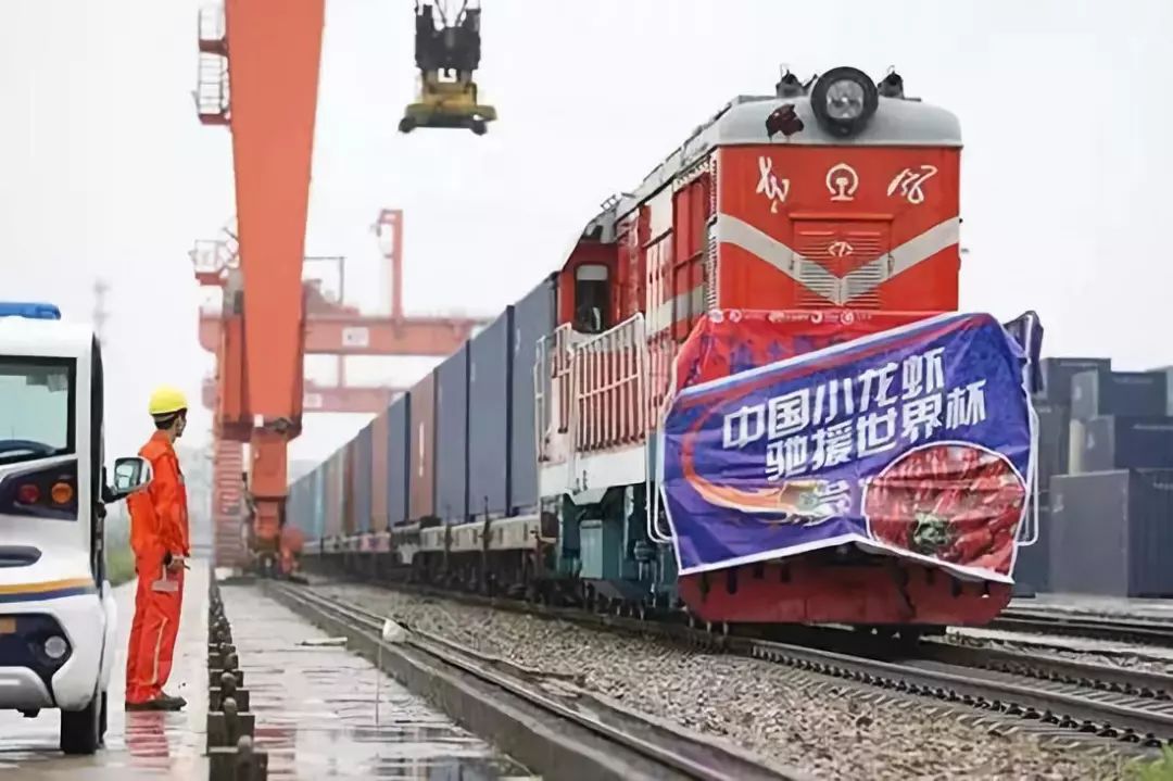 世界杯“大牌”球迷镇场！你们看球，我只看到这些梗……