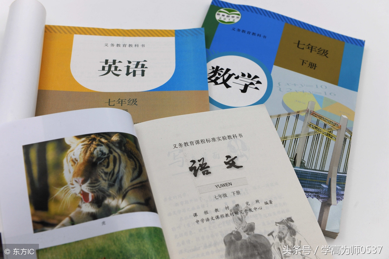 苏教版六年级语文上册配套知识点暑假预习提纲