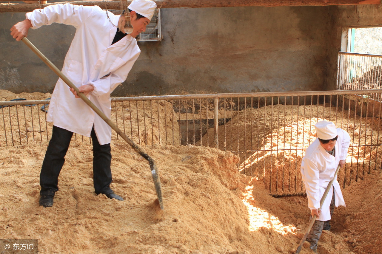 生态环保养猪未来发展趋势,生物发酵饲料可行性